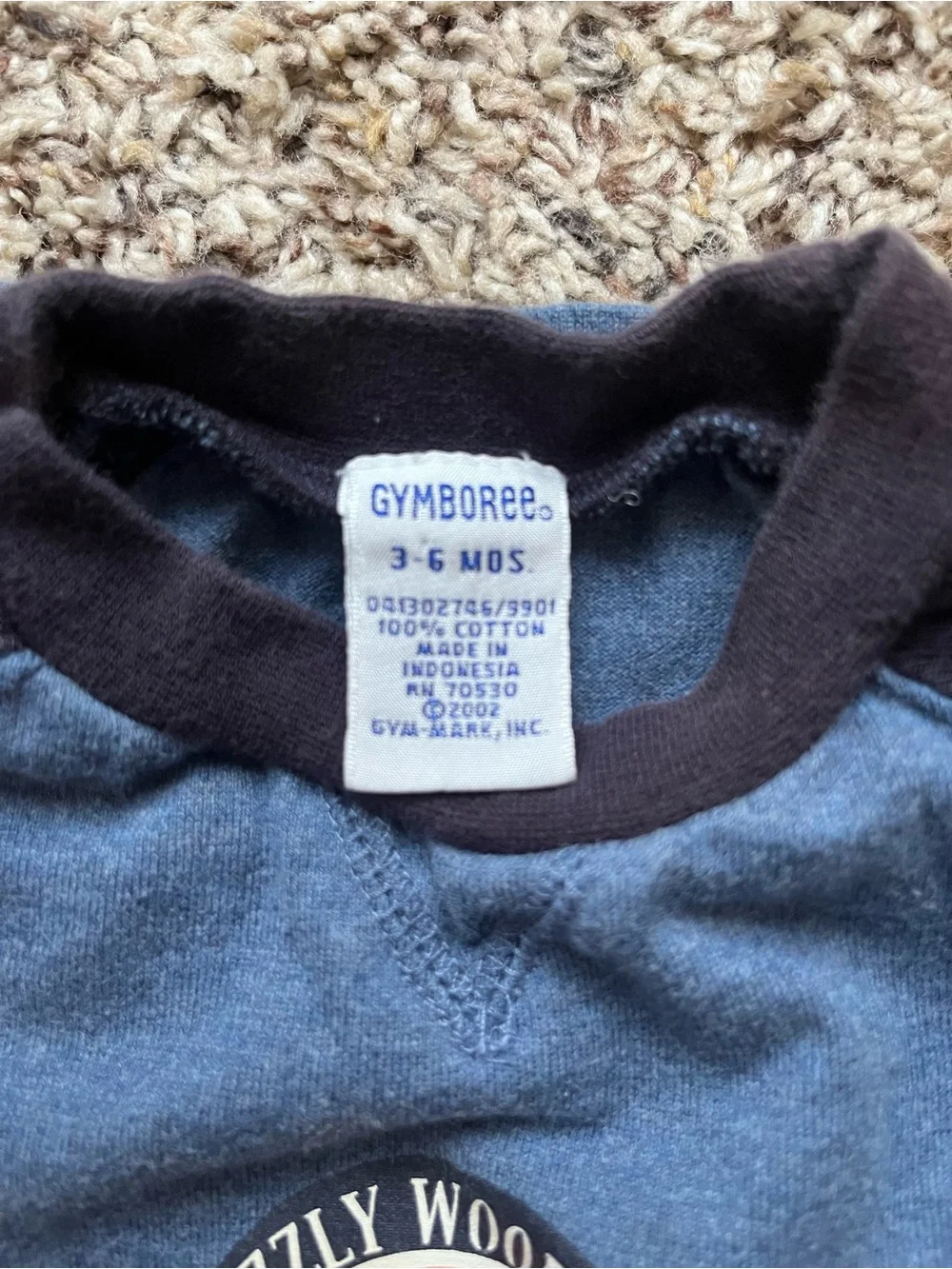 Gymboree Boys' Blue & Black Long-Sleeve Shirt - Grizzly Woodlands Graphic